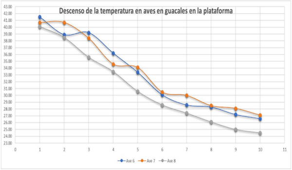 Seguimiento del descenso de la temperatura corporal en el pollo de engorde, destinado a la planta de beneficio para evaluación de DOA y bienestar animal - Image 11