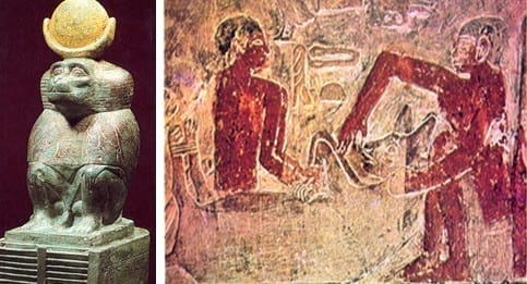 La Oveja Fue Antes Que El Trigo - Relación de Animales según su Domesticación - Image 13