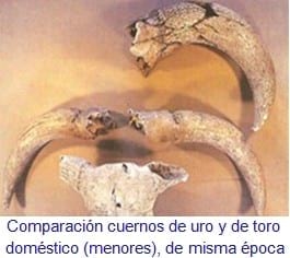 La Oveja Fue Antes Que El Trigo - Relación de Animales según su Domesticación - Image 7