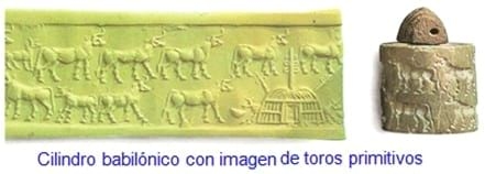 La Oveja Fue Antes Que El Trigo - Relación de Animales según su Domesticación - Image 8