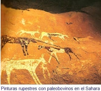 La Oveja Fue Antes Que El Trigo - Relación de Animales según su Domesticación - Image 15