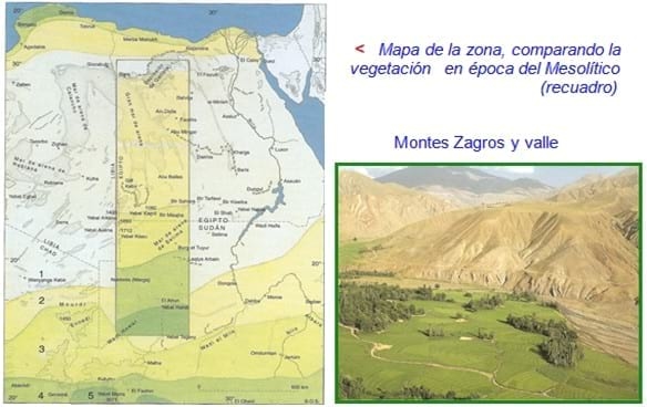 La Oveja Fue Antes Que El Trigo - Relación de Animales según su Domesticación - Image 1