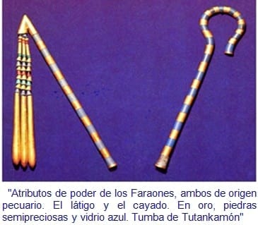 La Oveja Fue Antes Que El Trigo - Relación de Animales según su Domesticación - Image 2