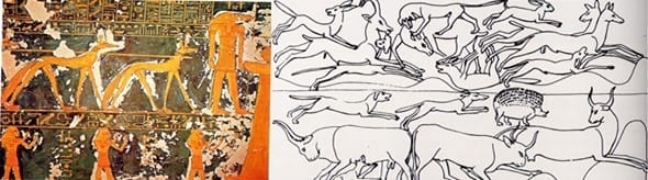 La Oveja Fue Antes Que El Trigo - Relación de Animales según su Domesticación - Image 3
