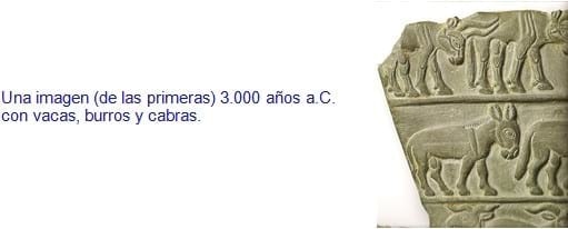 La Oveja Fue Antes Que El Trigo - Relación de Animales según su Domesticación - Image 6
