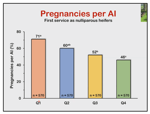 Edad o Peso a la Primera Inseminación Artificial (PIA), esa es la pregunta? - Image 11
