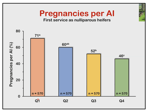 Edad o Peso a la Primera Inseminación Artificial (PIA), esa es la pregunta? - Image 6