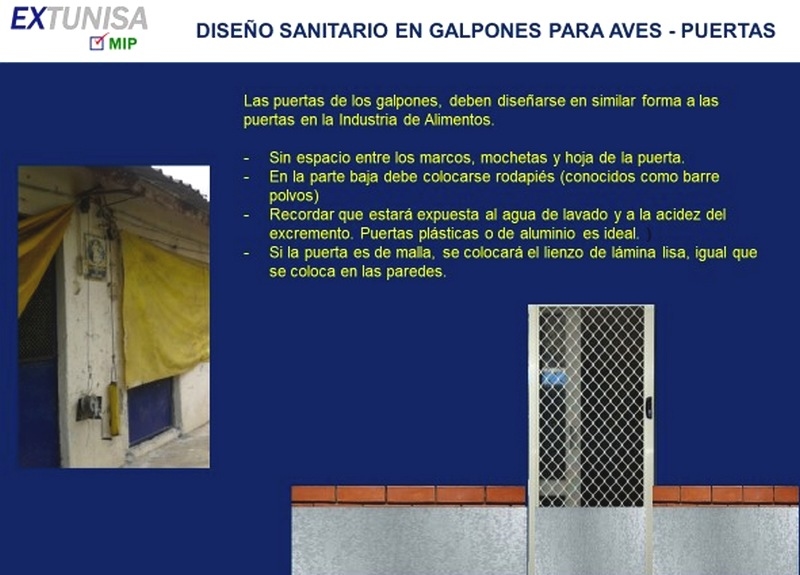 Galpones para aves: diseño y mantenimiento sanitarios - Image 3