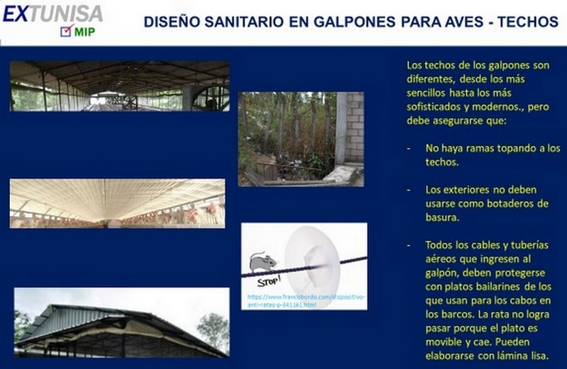 Galpones para aves: diseño y mantenimiento sanitarios - Image 5