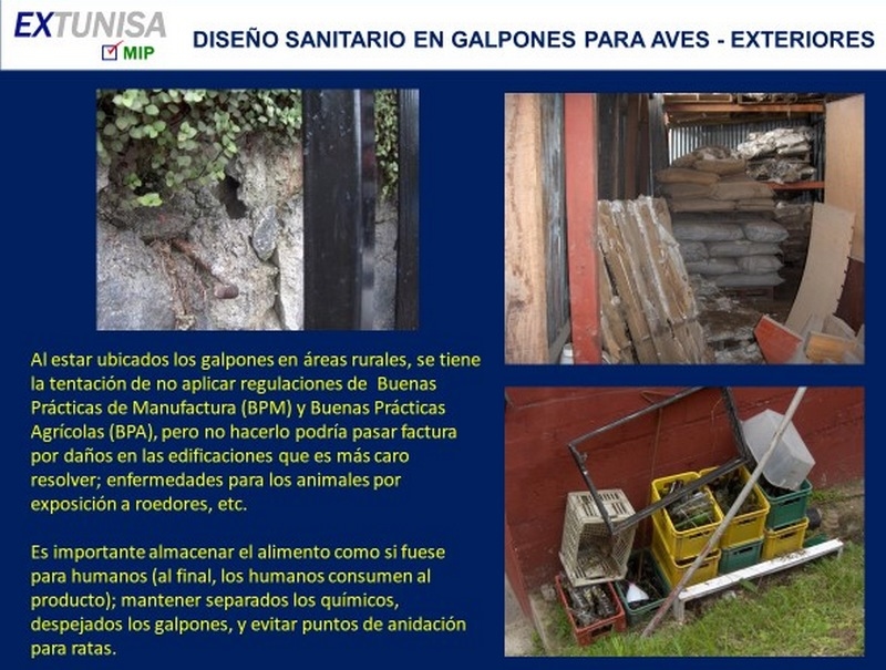Galpones para aves: diseño y mantenimiento sanitarios - Image 7