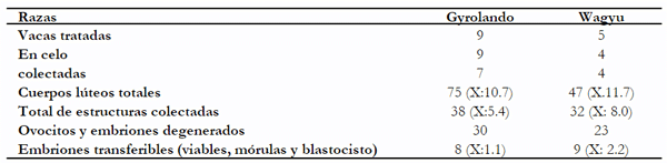Cuadro 1. Resumen de resultados de programas de superovulación y colección de embriones con vacas de la raza Gyrolando en el estado de Sinaloa y de la raza Wagyu en el estado de Veracruz