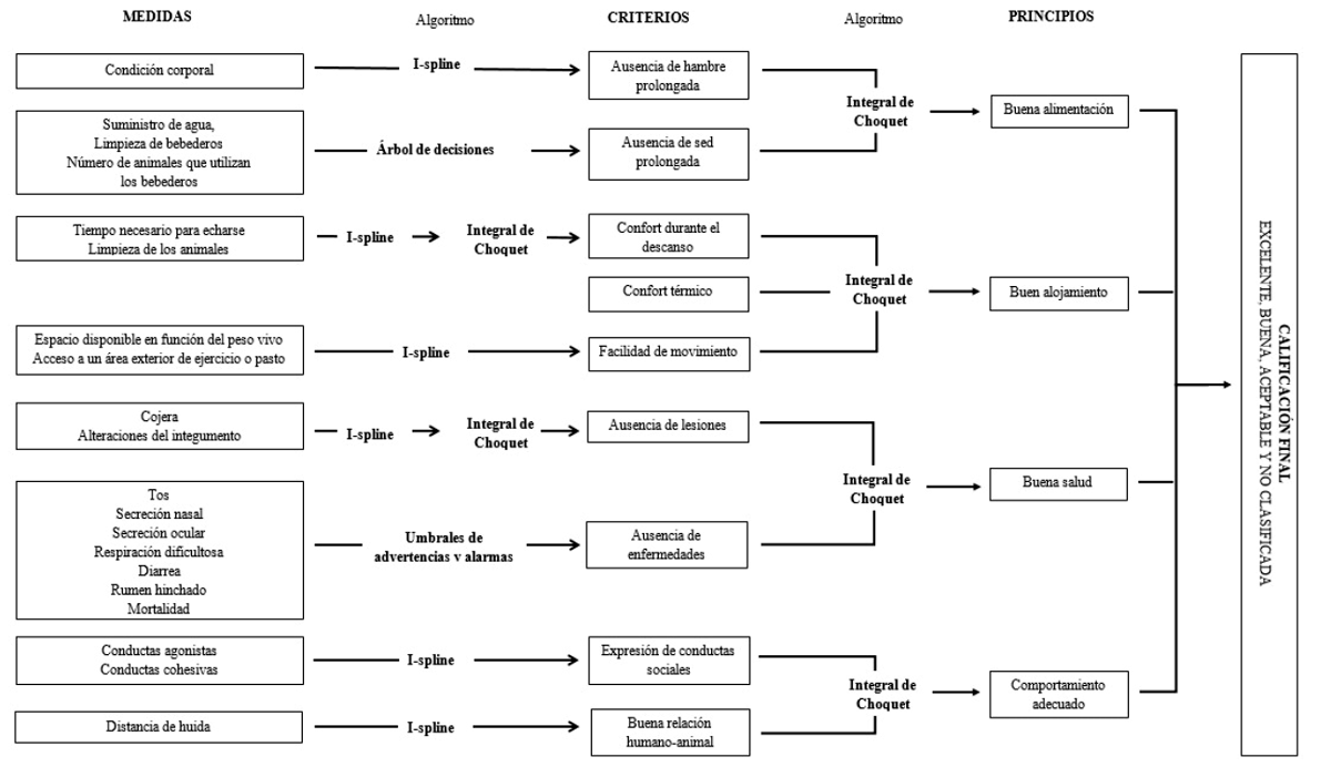 Aplicación del protocolo de auditoría Welfare Quality (r) en bovinos Holstein para engorda bajo condiciones desérticas - Image 1