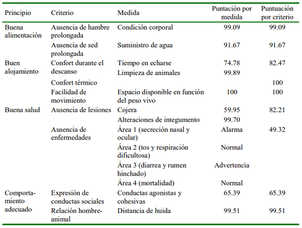 Cuadro 2 Puntuaciones generales por criterio en los cuatro principios del protocolo WQ(r). 