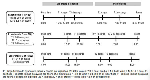 Figura 1 - Caracterización de los distintos tiempos de ayuno y lugar de espera previo a la faena - carga, descarga y faena – en los tres experimentos.