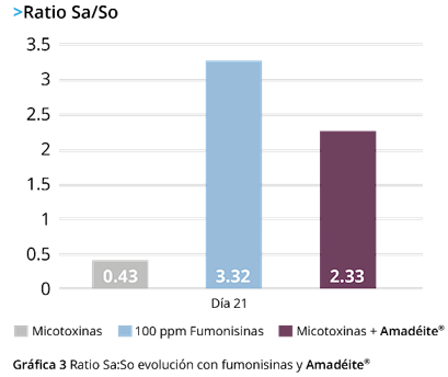 Fusariotoxinas y sus efectos en pollos de engorda - Image 5