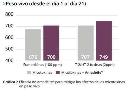 Fusariotoxinas y sus efectos en pollos de engorda - Image 4