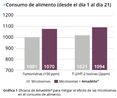 Fusariotoxinas y sus efectos en pollos de engorda - Image 3