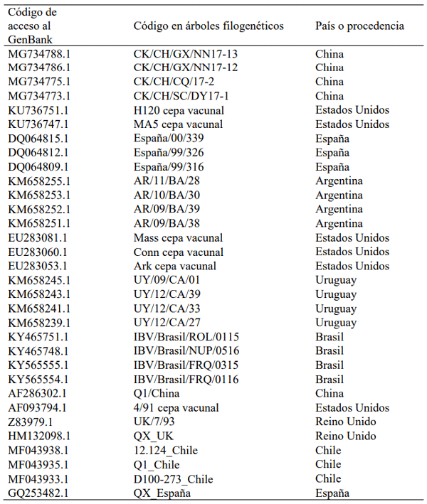 Tabla 3. Cepas representativas del virus de la bronquitis infecciosa aviar IBV procedentes de América Europa y China.