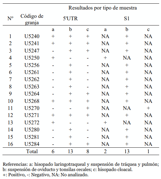 Tabla 4. Resultados de pruebas de PCR para la región 5’UTR y S1 del virus de la bronquitis infecciosa aviar (IBV).
