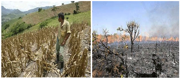 LA ACTIVIDAD AGROPECUARIA Y SU INCIDENCIA SOBRE EL CAMBIO CLIMÁTICO