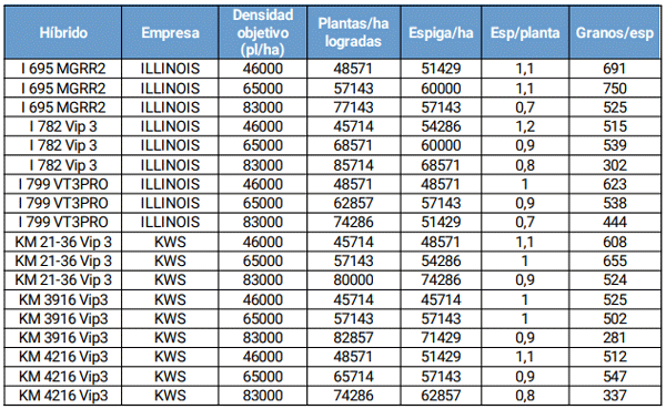 Tabla 3: Detalle de componentes de rendimiento en un ensayo de maíz siembra temprana, San Antonio de Areco, Buenos Aires, campaña 2021/2022
