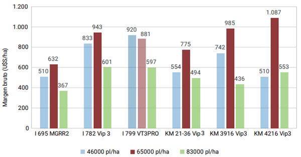 Gráfico 3: Margen bruto de híbridos de maíz siembra temprana en tres densidades de siembra, San Antonio de Areco, Buenos Aires, campaña 2021/2022.