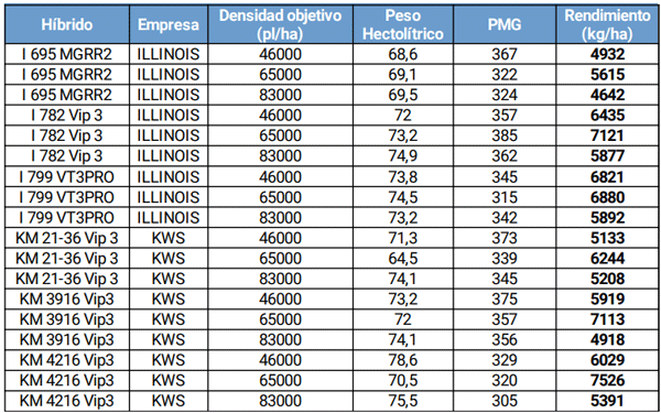 Tabla 4: Datos de Rendimiento, porcentaje de intercepción de la radiación, peso hectolítrico (PH) y peso de mil granos (PMG) en un ensayo de maíz siembra temprana, San Antonio de Areco, Buenos Aires, campaña 2021/2022.