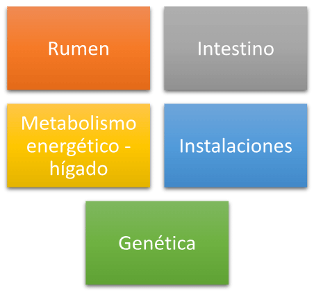 Figura 3. Campos de actuación para gestionar el estrés por calor. Fuente: elaboración propia