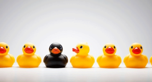 Campylobacter, el “outsider” de la salud animal.