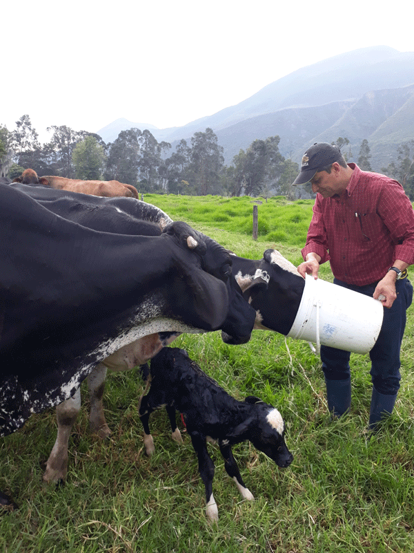 Asesoría técnica con enfoque en la productividad, rentabilidad y sostenibilidad de los sistemas ganaderos