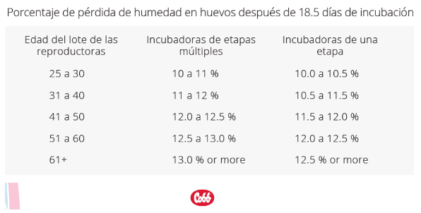Cómo reducir la mortalidad en los primeros 7 días mediante manejos en incubadora y transporte - Image 1