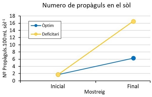 Menos agua y fertilizantes con el uso de micorrizas en horticultura - Image 8