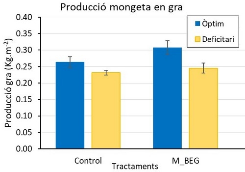 Menos agua y fertilizantes con el uso de micorrizas en horticultura - Image 4