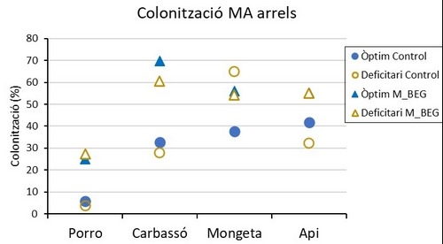 Menos agua y fertilizantes con el uso de micorrizas en horticultura - Image 7