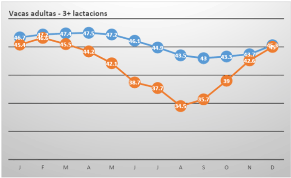 Figura 3- Promedio de producción diaria de leche (Lit.), por vaca adultas en los últimos cinco años, en granjas con enfriamiento mínimo (Naranja), en comparación con granjas con enfriamiento intensivo (Azul), en el verano