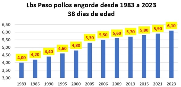 Un siglo de industria avicola y 100 observaciones Parte 4 (1990 a 2010) - Image 11