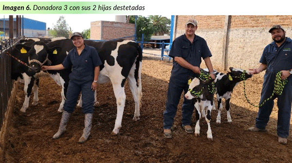 imagen 6