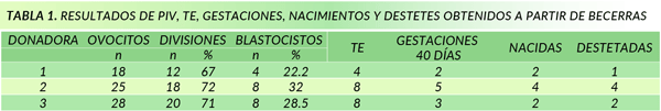 tabla 1