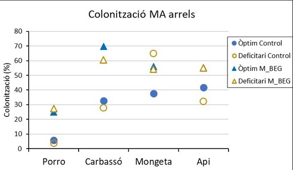 Menos agua y fertilizantes con el uso de micorrizas en horticultura - Image 6