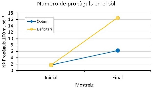 Menos agua y fertilizantes con el uso de micorrizas en horticultura - Image 7