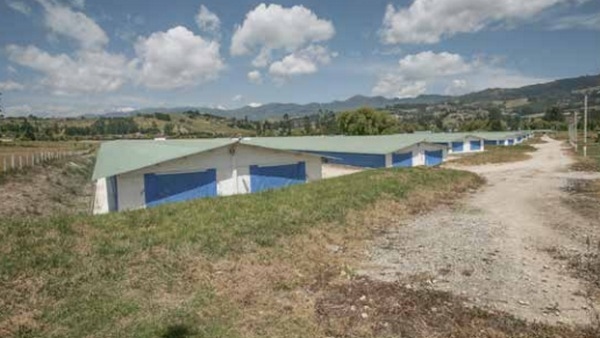 El sector avícola comprometido con una producción sostenible - Image 3