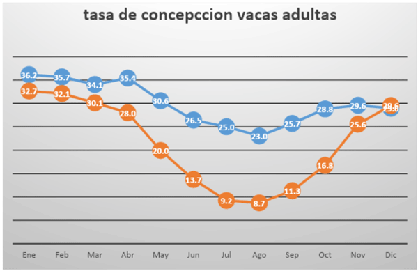 Figura 6 - Promedios de la tasa de concepccion (%), en vacas adultas, en establo 2, donde las vacas se enfriaron en el verano en forma minima y el establo 5, donde las vacas se enfriaron en el verano en forma intensiva.