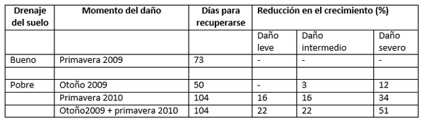 Estrategias para aumentar la utilización de Raigrás en Vacas Lecheras. Algunos resultados de ensayos en Moorepark, Teagasc, Irlanda - Image 4