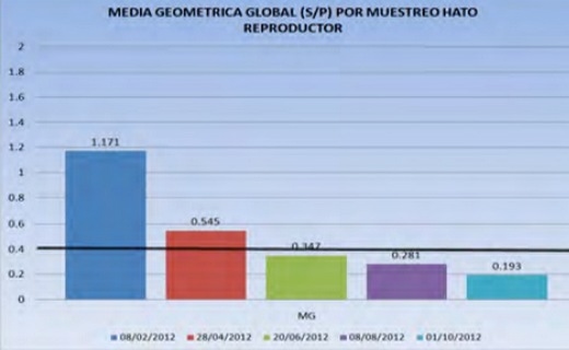 Eficacia de una formulación de inmunoglobulinas de orígen aviar contra el virus PRRS en el hato reproductor y lechones virémicos - Image 1