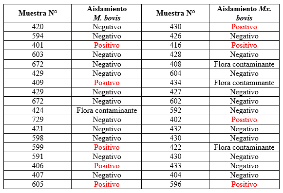 Evaluación de la respuesta del conjugado citokina/bacterina inactivado de Moraxella bovis ß hemolítica en bovinos con queratoconjuntivitis - Image 26