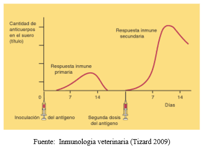 Evaluación de la respuesta del conjugado citokina/bacterina inactivado de Moraxella bovis ß hemolítica en bovinos con queratoconjuntivitis - Image 1