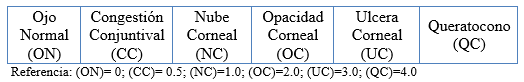 Evaluación de la respuesta del conjugado citokina/bacterina inactivado de Moraxella bovis ß hemolítica en bovinos con queratoconjuntivitis - Image 7