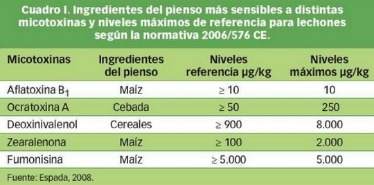 Aflatoxicosis porcina y sinergia con otras micotoxinas - Image 1