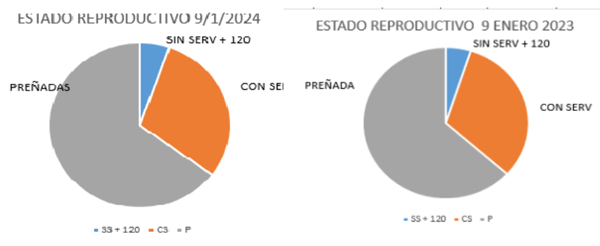 En la parte gráficos recibirá siempre los siguientes gráficos: 