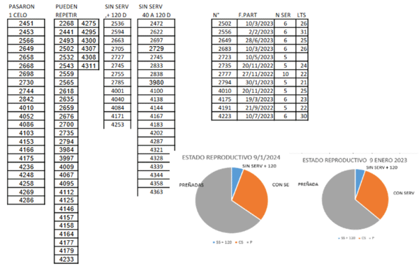 1) Reporte semanal : a continuación vemos el reporte semanal analizaremos cada parte del mismo